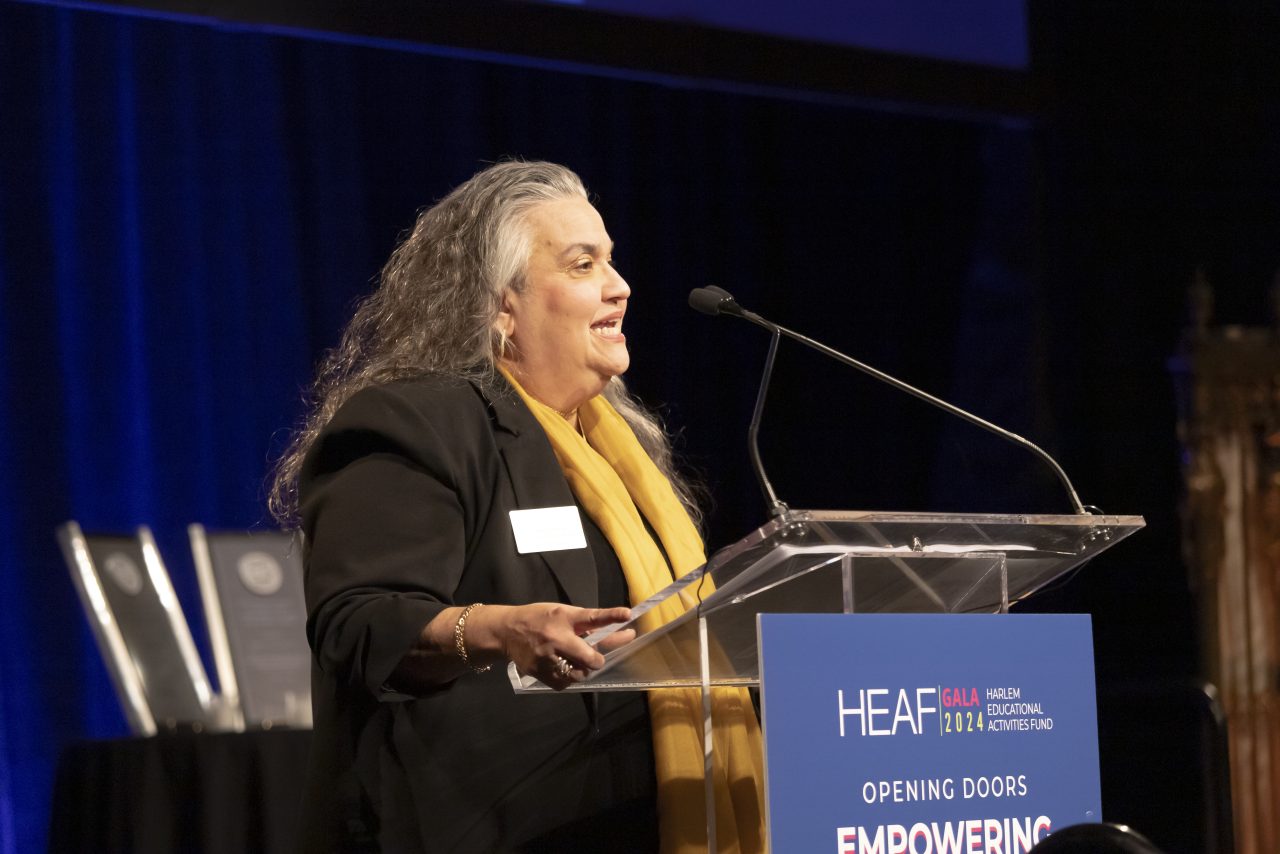 HEAF 2024 Gala: Opening Doors, Empowering Futures - HEAF